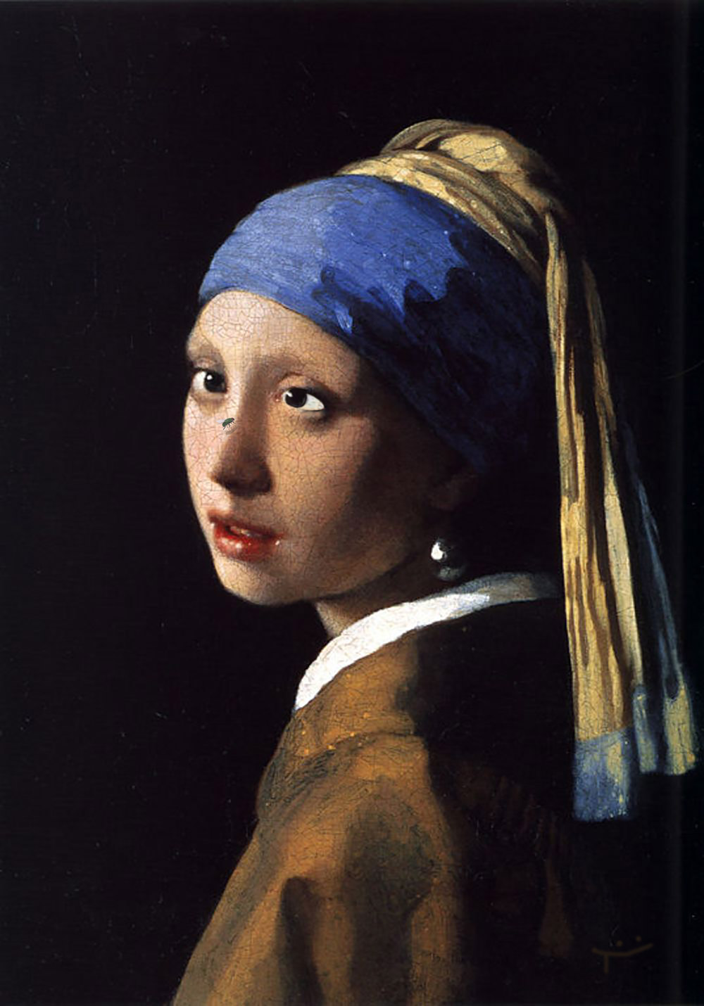 Johannes Vermeer, Girl with a Pearl Earring and fly on her nose.